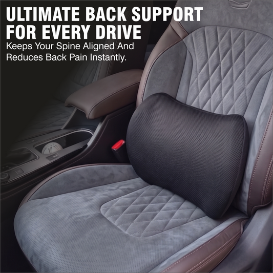 Relaxer Orthopedic Lumbar Support Pillow