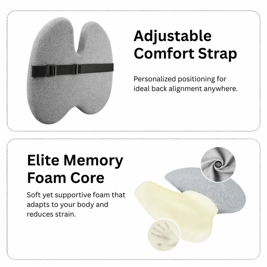 Relaxer Pro Back Rest memory foam cushion