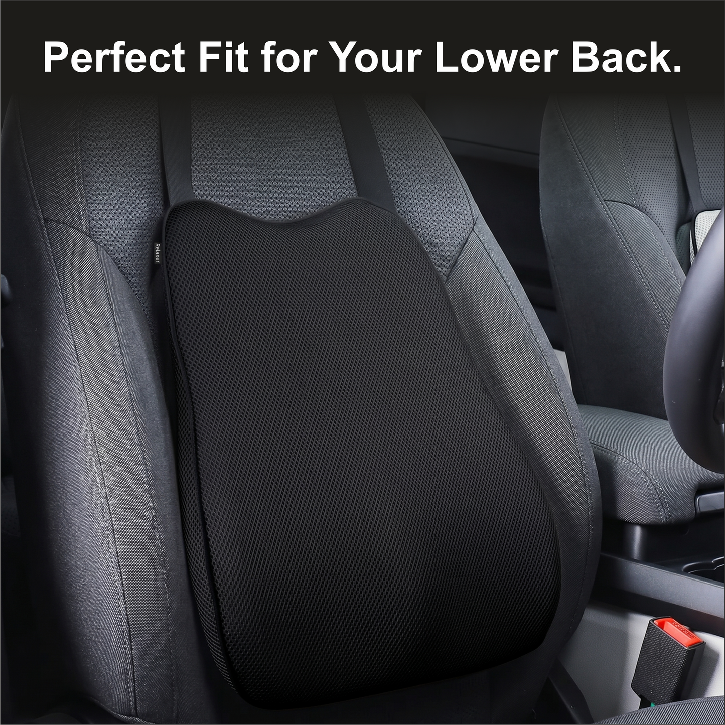 Relaxer Orthopedic Dual Car Set