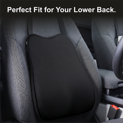 Relaxer Orthopedic Dual Car Set