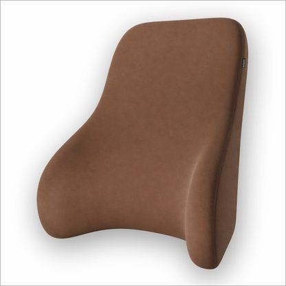 Relaxer Orthopedic Sofa Back Support